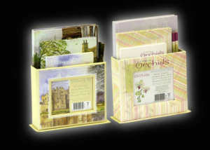 Envelope Letter Writing Set